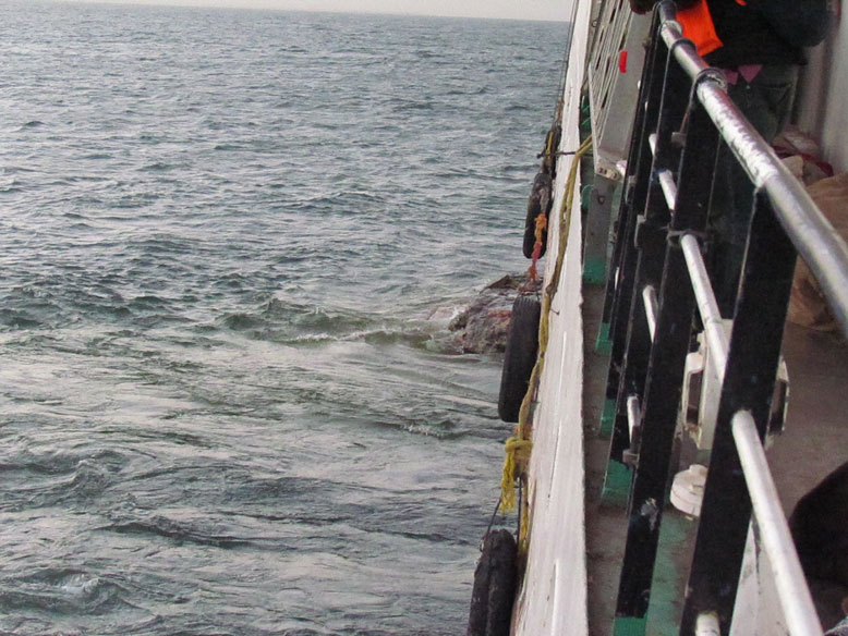 la roca contra la que impactamos